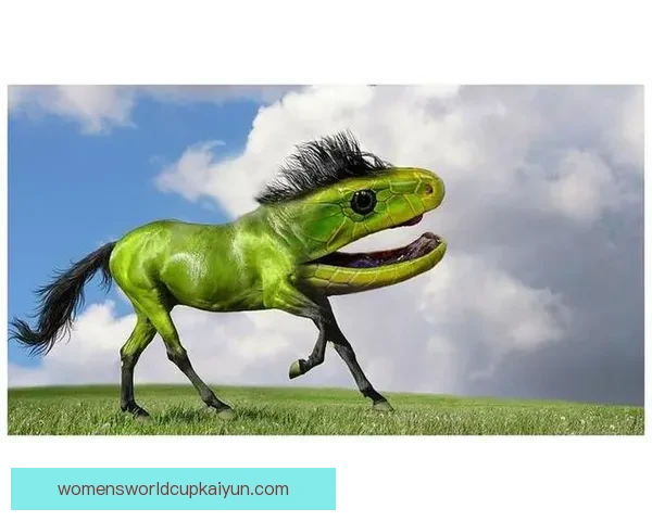 埃德蒙多·塔皮亚近期状态回暖，展现出良好竞技状态